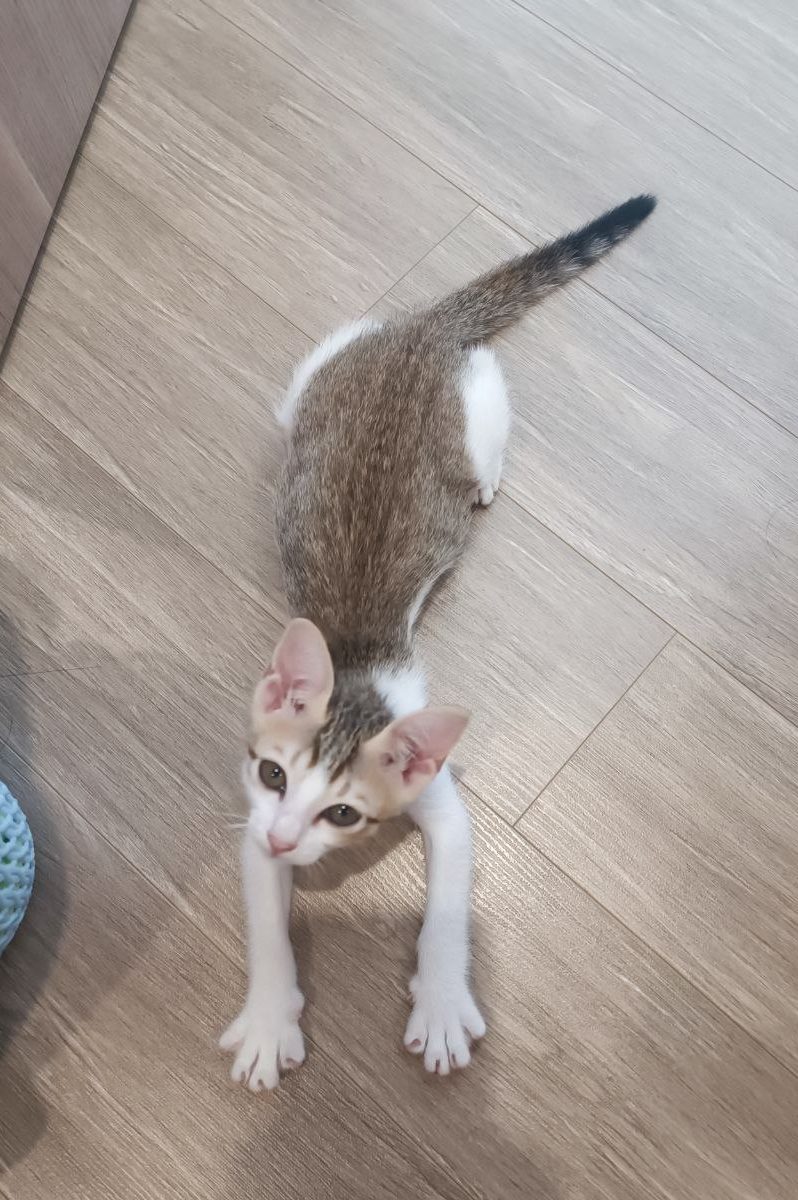 Cảm thấy được&nbsp;yêu.