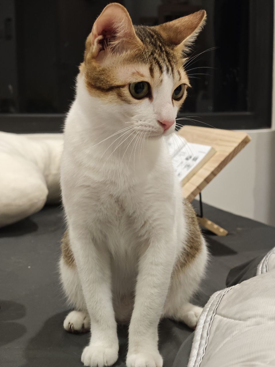 Write for the old me / VIẾT CHO TÔI VÀ CHO NHỮNG NGÀY XƯA&nbsp;CŨ.