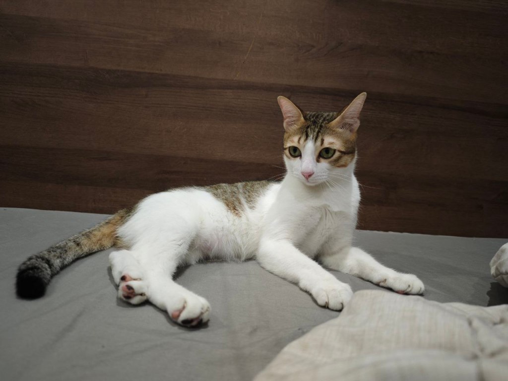 Protected: Diary – May 19,&nbsp;2025