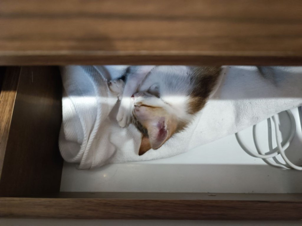 Protected: Nỗi ám ảnh nhân danh tình&nbsp;yêu.