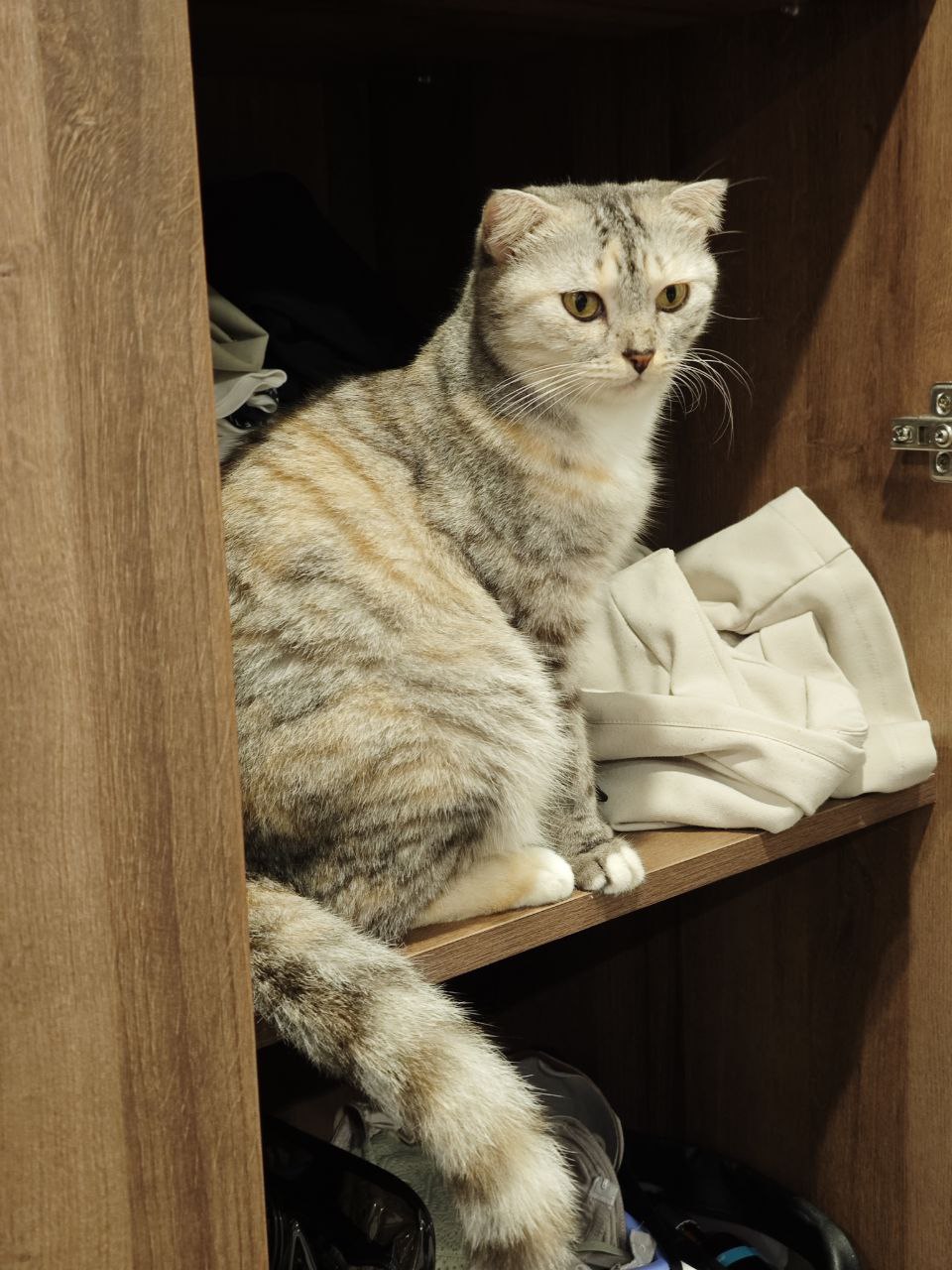 Protected: See it through to throw it&nbsp;out