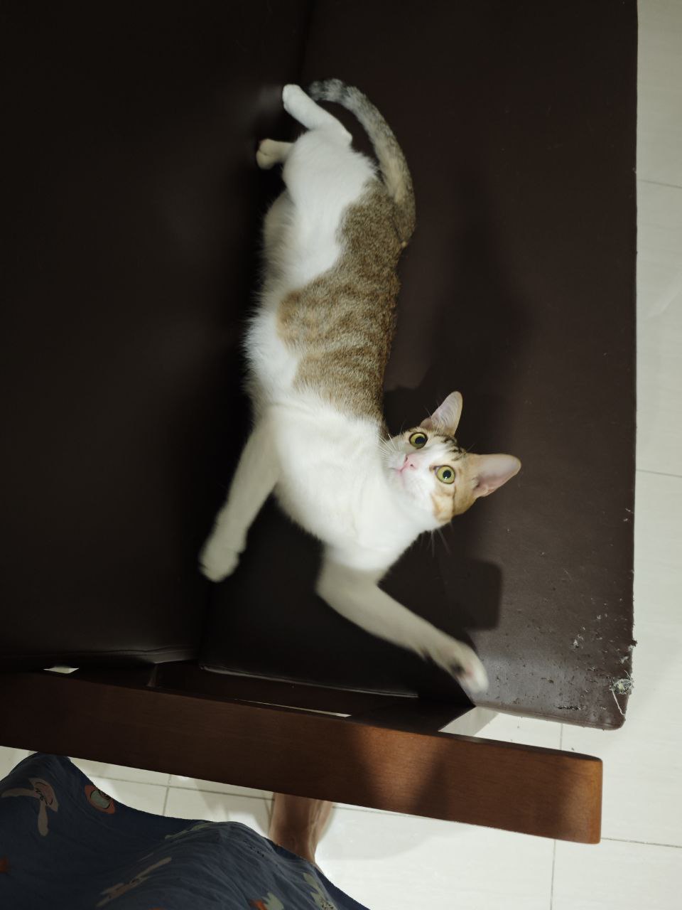 Protected: Feeling loved / CẢM THẤY ĐƯỢC YÊU (P4): Xin đừng gồng mình như thế.