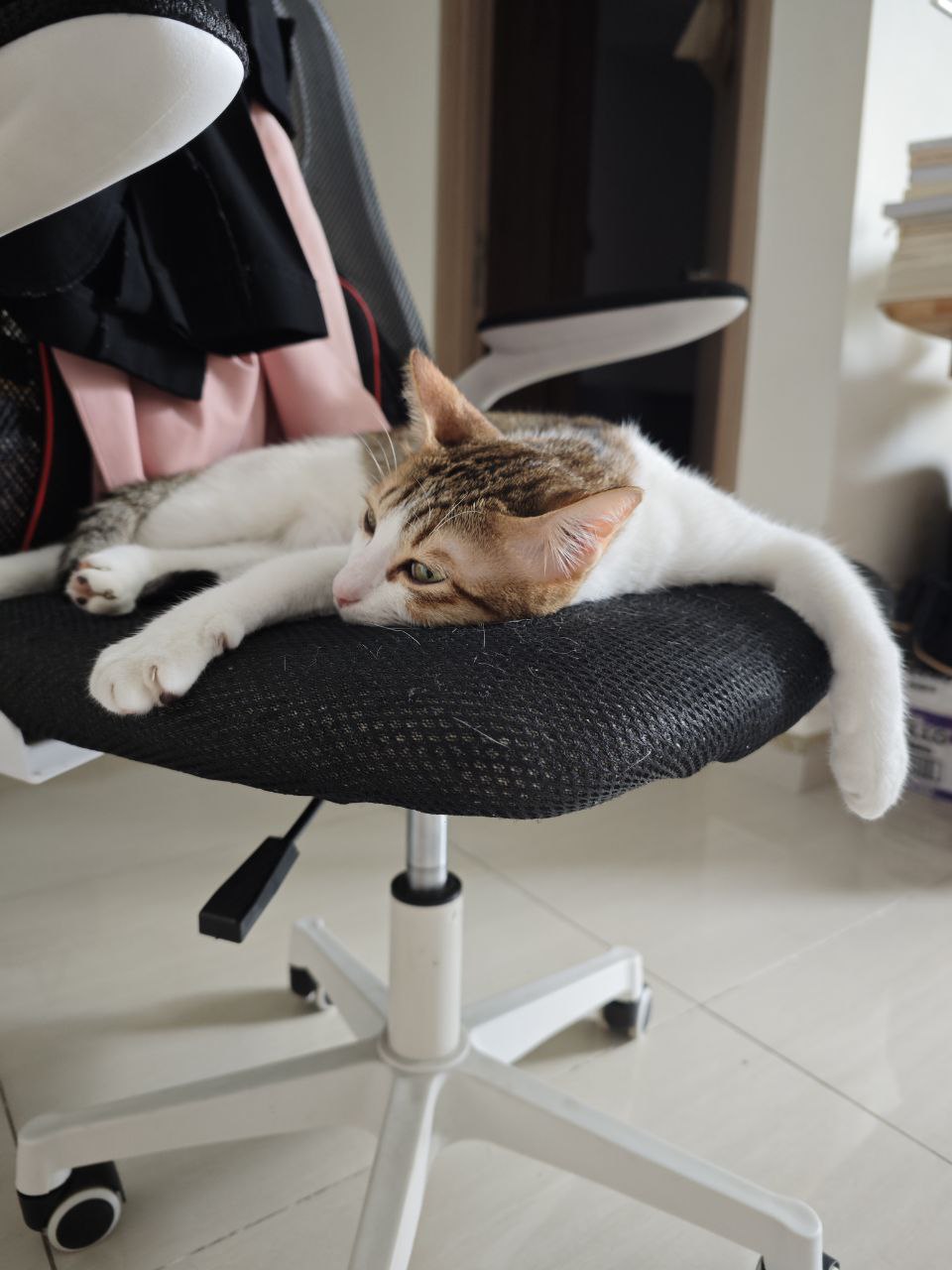 Protected: Diary – May 20,&nbsp;2025