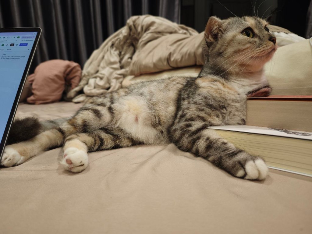 Protected: Having a child / CÓ&nbsp;CON