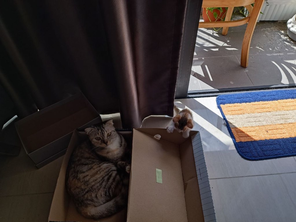 Matthew effect and insecurity / HIỆU ỨNG MATTHEW VÀ CÂU CHUYỆN CỦA SỰ MẶC&nbsp;CẢM