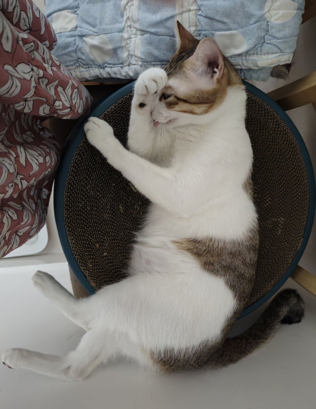 What is cool? CÁI GÌ MỚI&nbsp;NGẦU