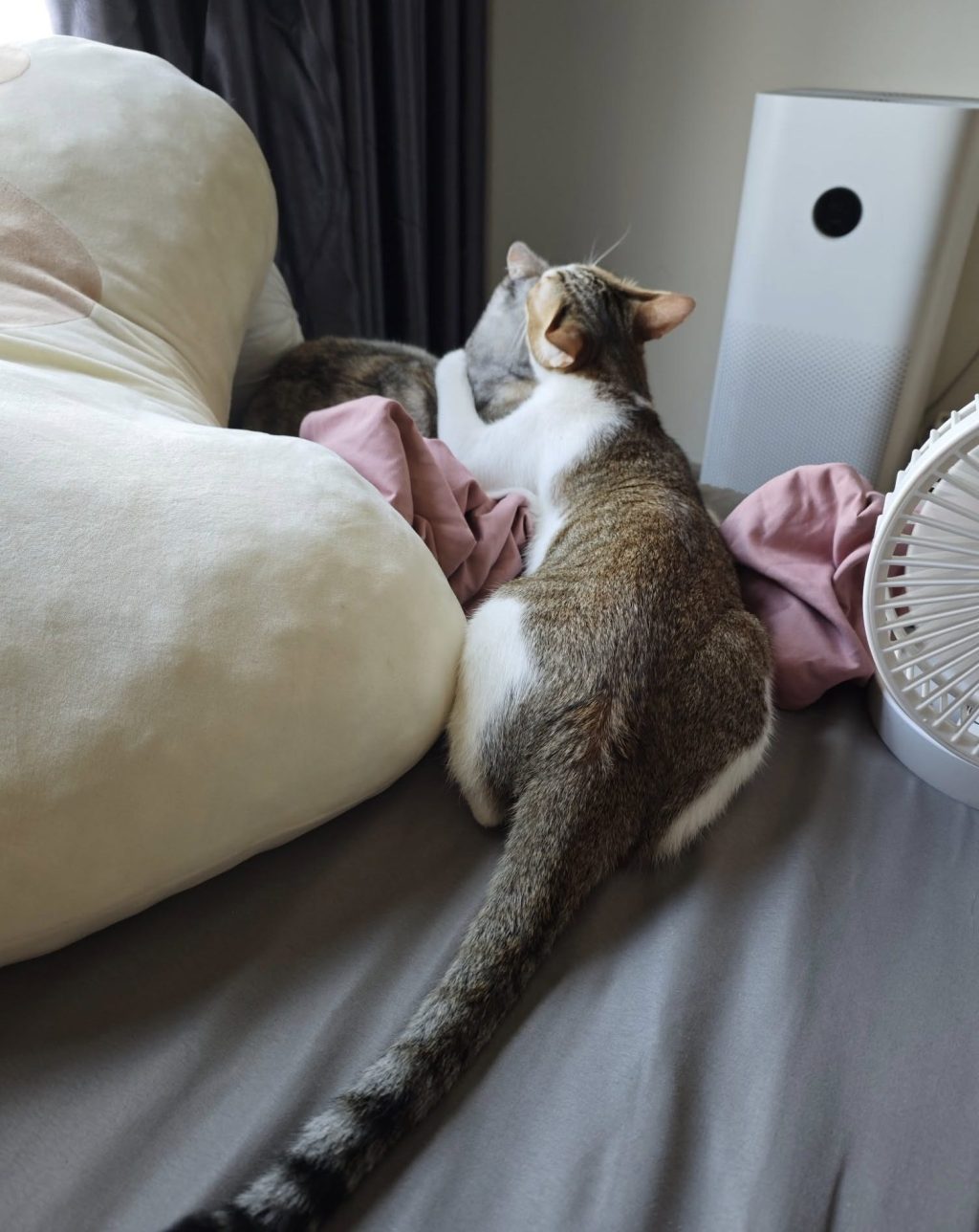 Obedience in children / VÂNG LỜI, NGHE LỜI Ở TRẺ&nbsp;NHỎ.