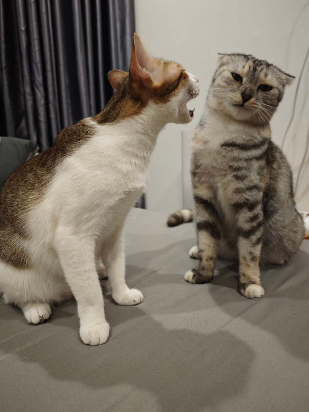 Generational trauma / TỔN THƯƠNG LIÊN THẾ&nbsp;HỆ