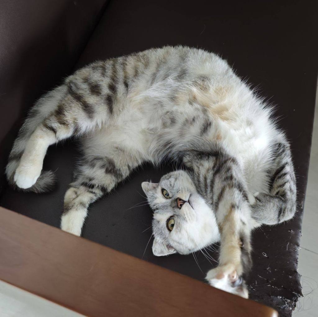 The most valuable&nbsp;person