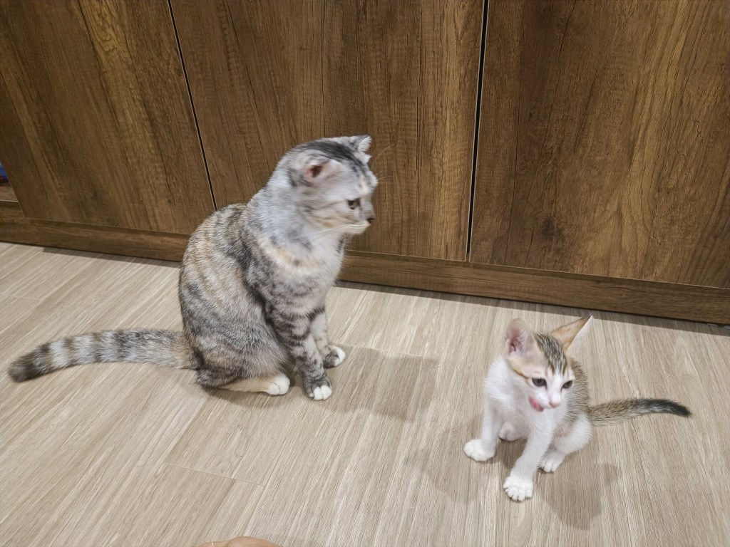 My children / MỘC & MIÊN (P1): Hành trình đến với hai đứa&nbsp;trẻ