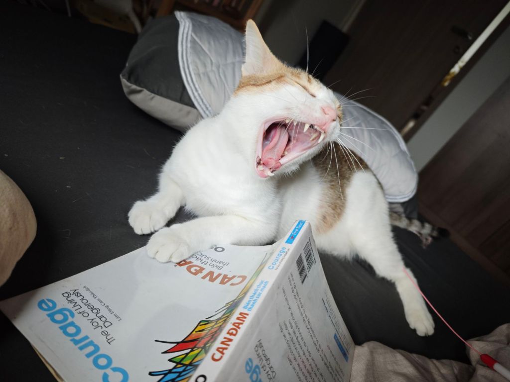 Protected: Diary – May 31st,&nbsp;2025