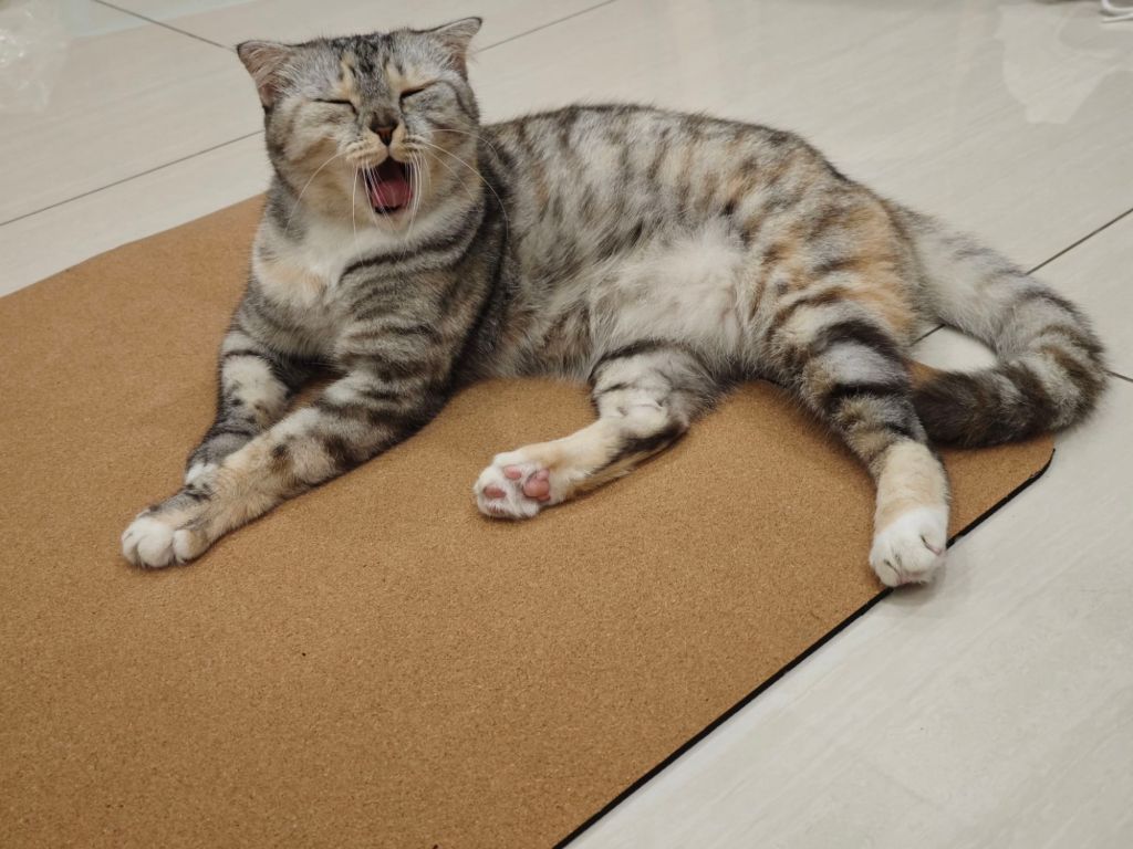 Protected: 6th Letter to my sister – My little&nbsp;girl