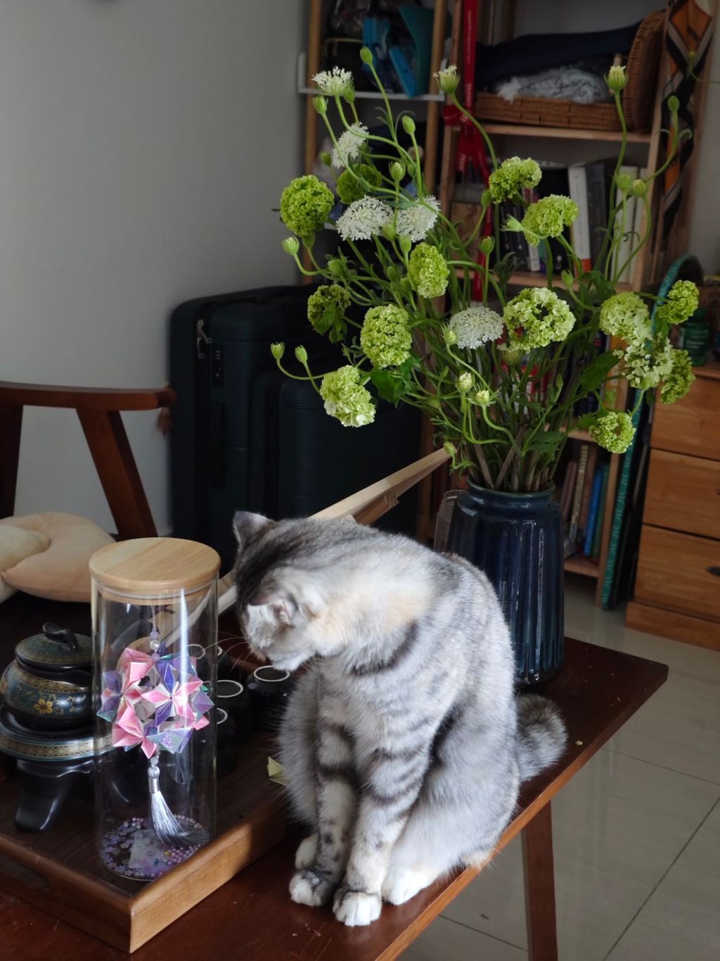 Belief / NIỀM&nbsp;TIN.