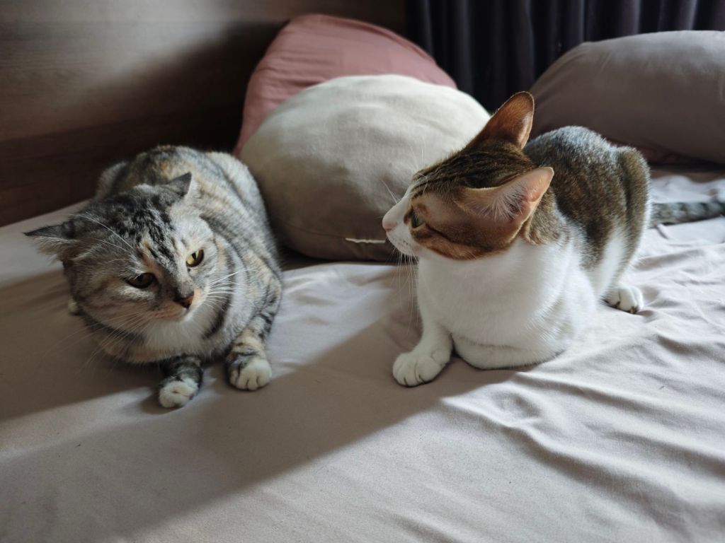 The paths haven’t&nbsp;met