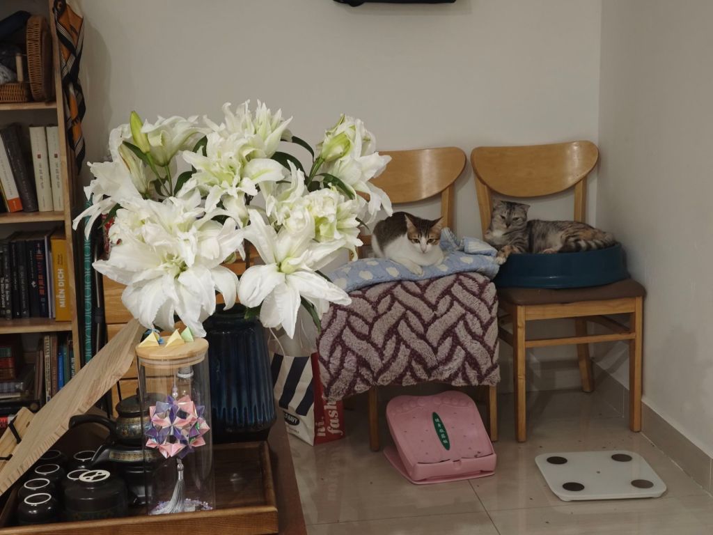 Protected: Diary – June 10th,&nbsp;2025